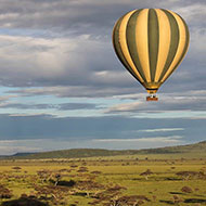 Hot Air Balloon