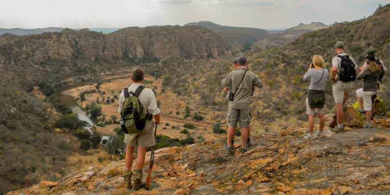 Walking Safaris
