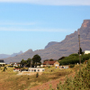 Dynamic South Africa