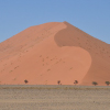 Ultimate Namibia Safari