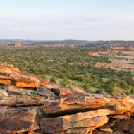 Mapungubwe