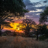 Mapungubwe