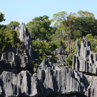 Tsingy