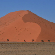 Dune